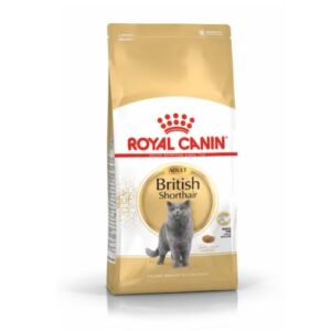 royal canin רויאל קנין לחתול בריטי קצר פרווה 4 ק"ג